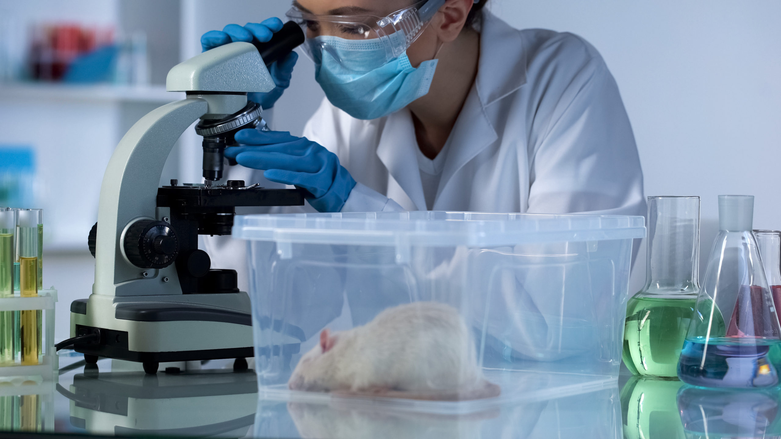 Animal lab. Лаборатория с подопытными людьми. Ученые в лаборатории. Подопытная крыса и лаборант.
