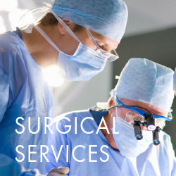 SurgicalServices