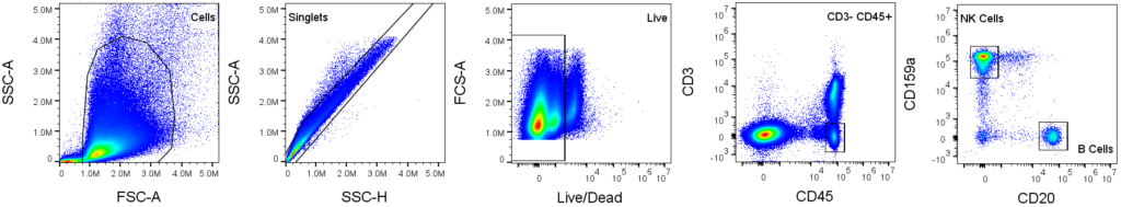 Flow Cytometry Example