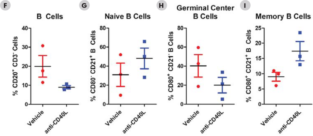 NHP T-Cell-Dependent Antibody Response - 3