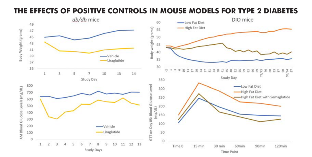 The Effects of Positive Control in Mouse Models for Type 2 Diabetes