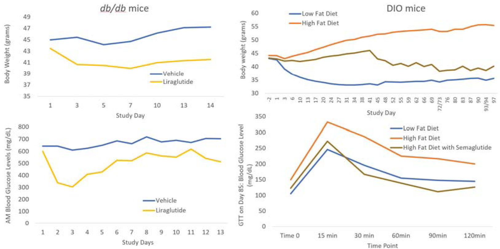 The Effects of Positive Control in Mouse Models for Type 2 Diabetes
