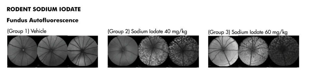 Rodent Sodium Iodate