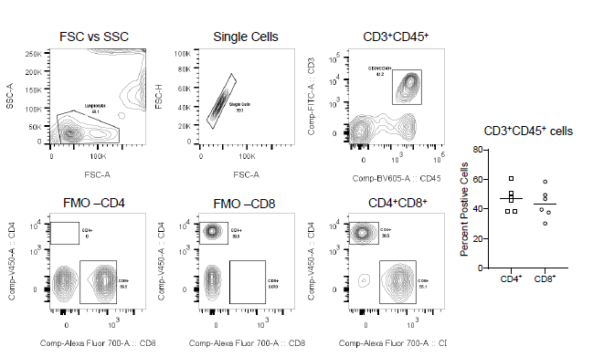 Blood samples collected from six (6) NHPs, stained with anti-cyno-specific antibodies targeting CD3, CD45, CD4, and CD8 to measure the percentage of CD3+CD45+ CD4+ and CD3+ CD45+ CD8+ positive T-cell populations by flow cytometry. (FMO – flow cytometry minus one)
