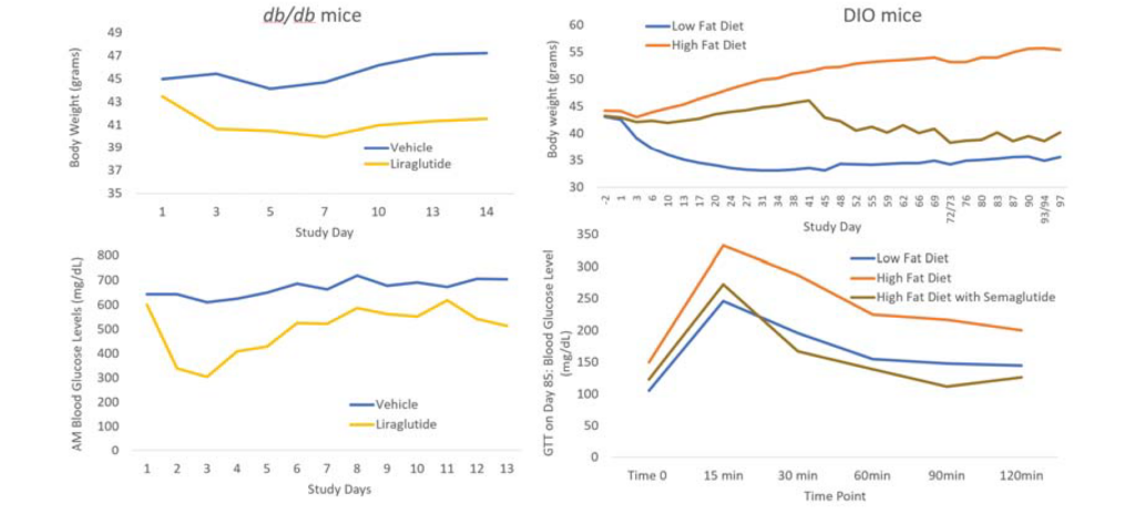 Changes in body weight and blood glucose in db/db mice treated with either vehicle or the GLP-1 receptor agonist liraglutide (left panels). Changes in body weight and blood glucose in DIO mice fed with either low fat or high fat diet -/+ semaglutide (right panels)